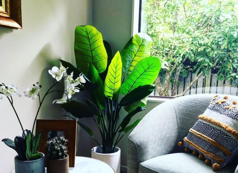 Takapuna Home Office Renovation