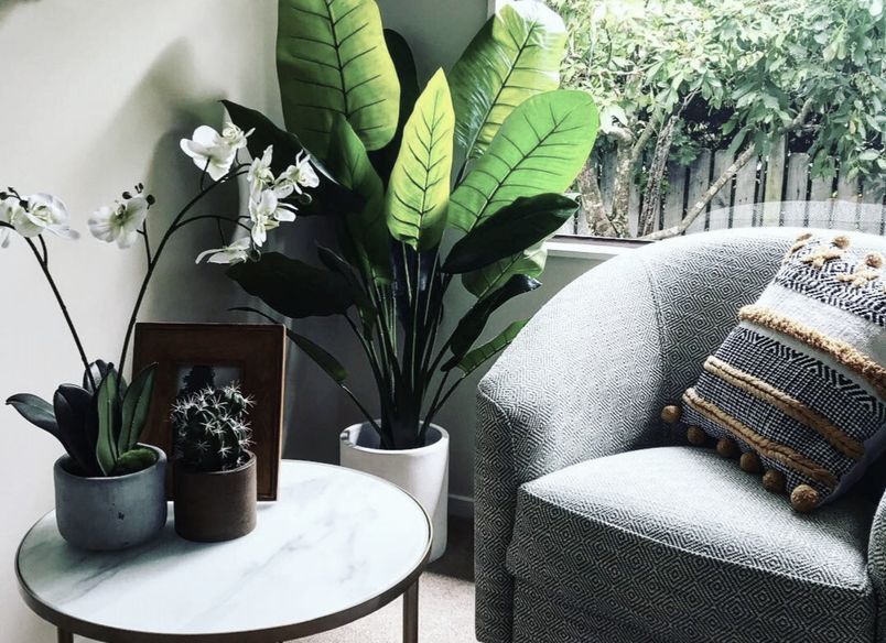 Takapuna Home Office Renovation