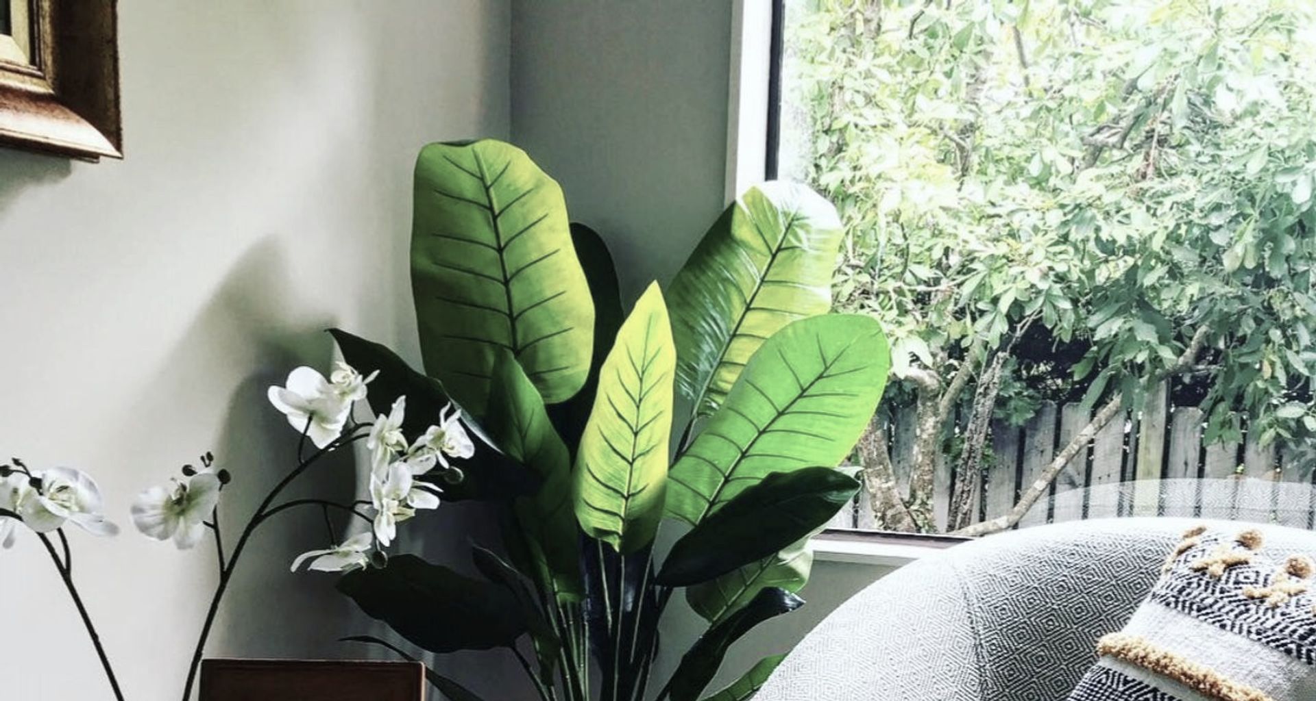 Takapuna Home Office Renovation banner