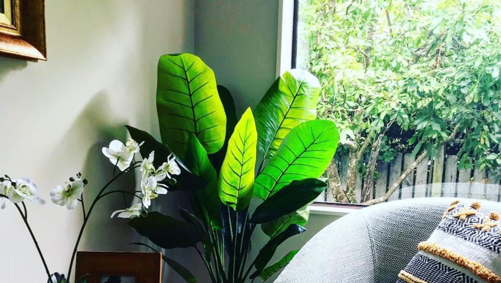 Takapuna Home Office Renovation banner