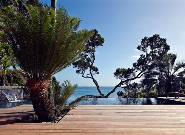 A tropical outdoor pool area with an infinity-edge swimming pool overlooking the ocean. A broad timber deck surrounds the pool, with mature palm and coastal trees integrated into the landscape and a bright blue sky beyond.
