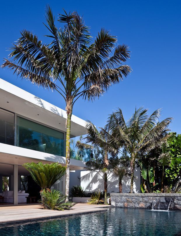 A bright modern two-storey residence with extensive floor-to-ceiling glazing, white rendered walls, and a flat roof surrounding a landscaped swimming pool. Tropical palms and cycads frame the pool, with a timber deck and dark stone water-feature wall creating a resort-like outdoor setting.