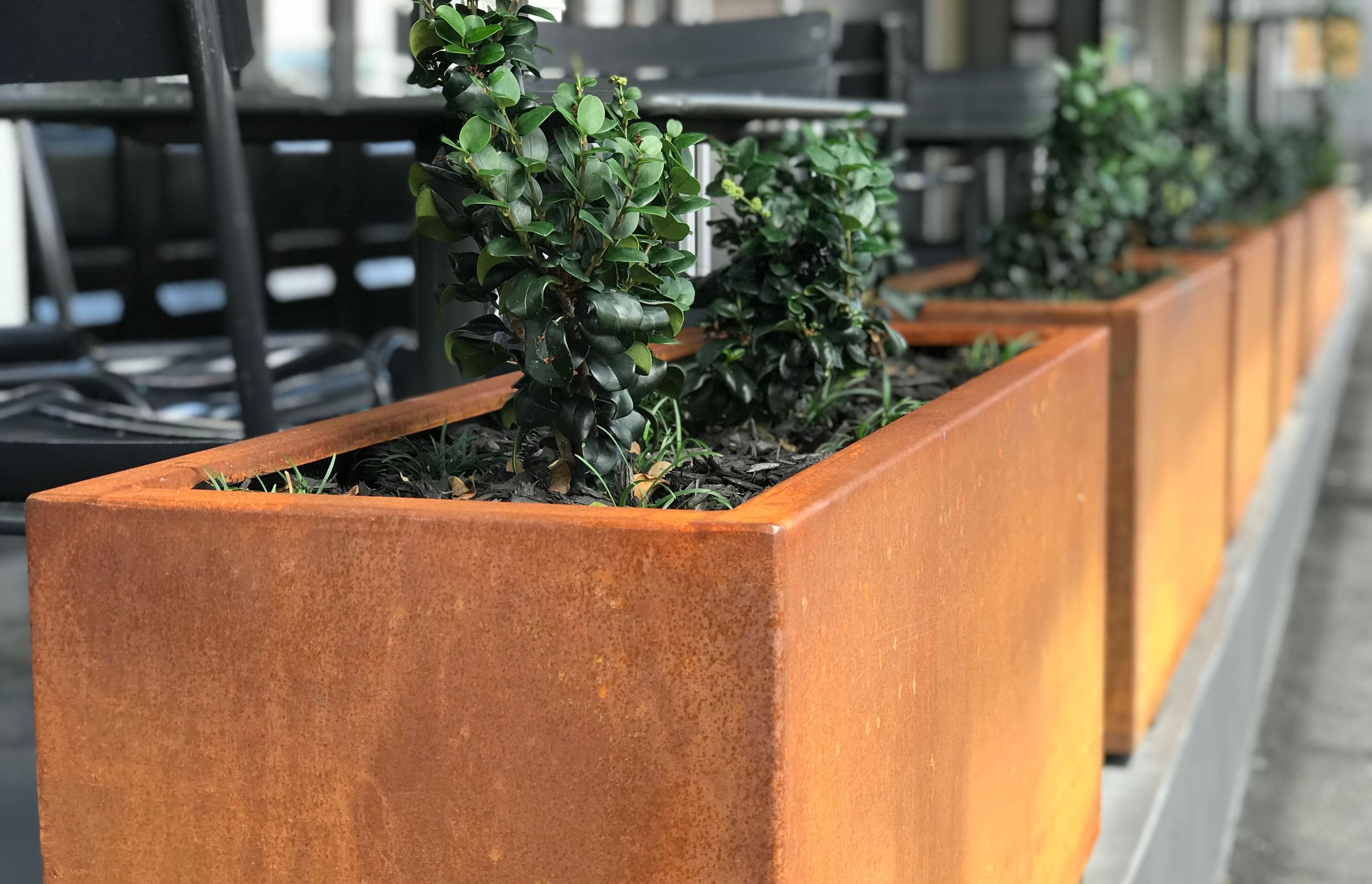 corten steel planters as a divider