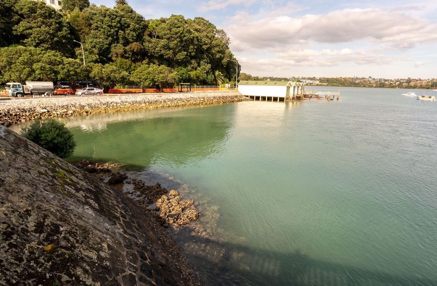 Tamaki Drive sea wall