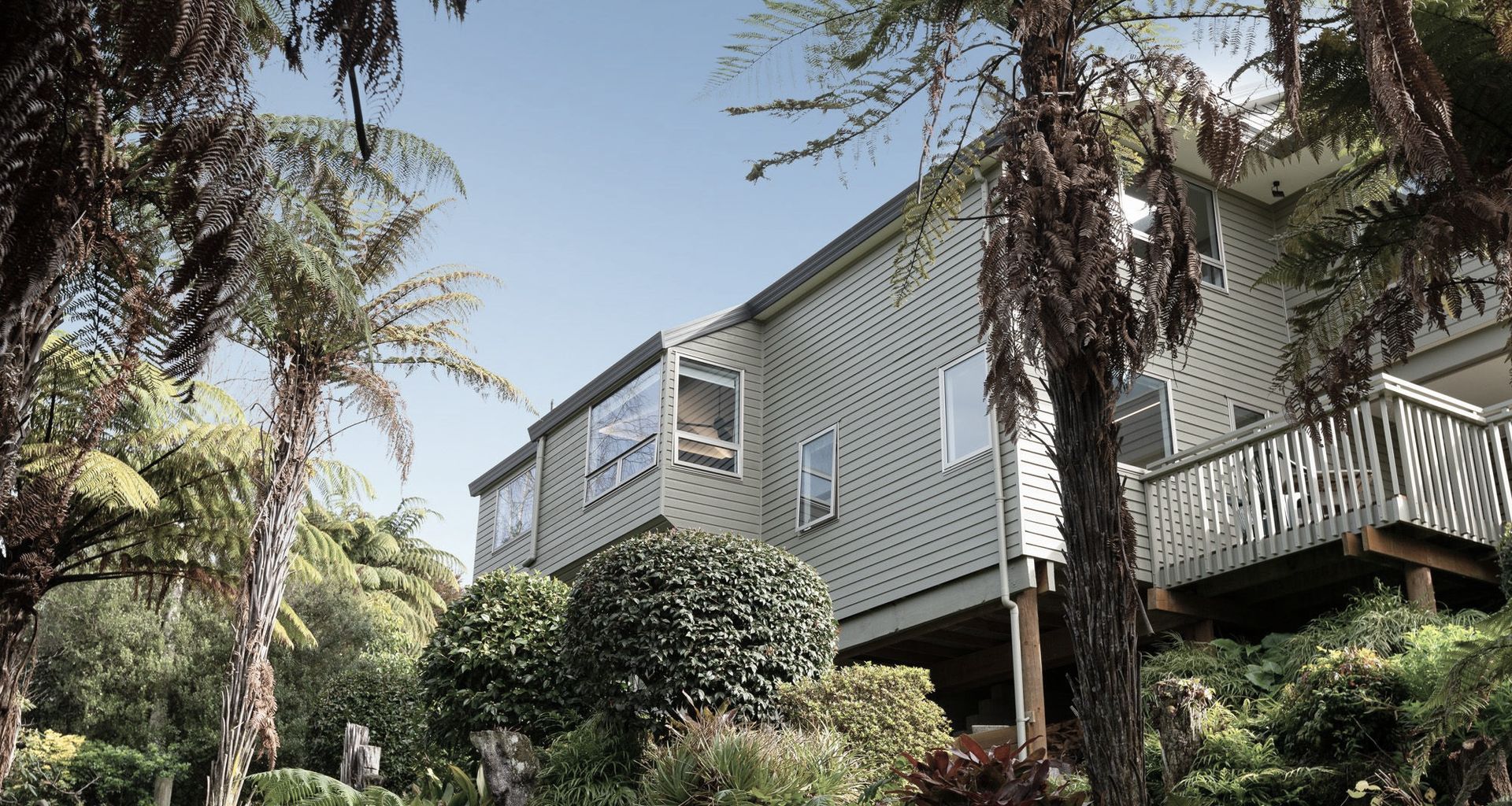 Tauranga Home banner