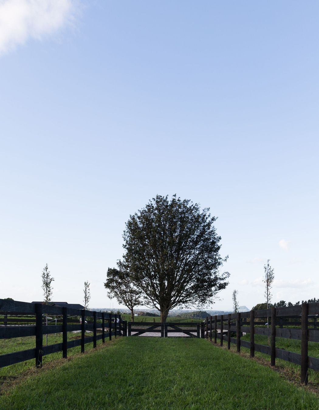 Dressage arena.