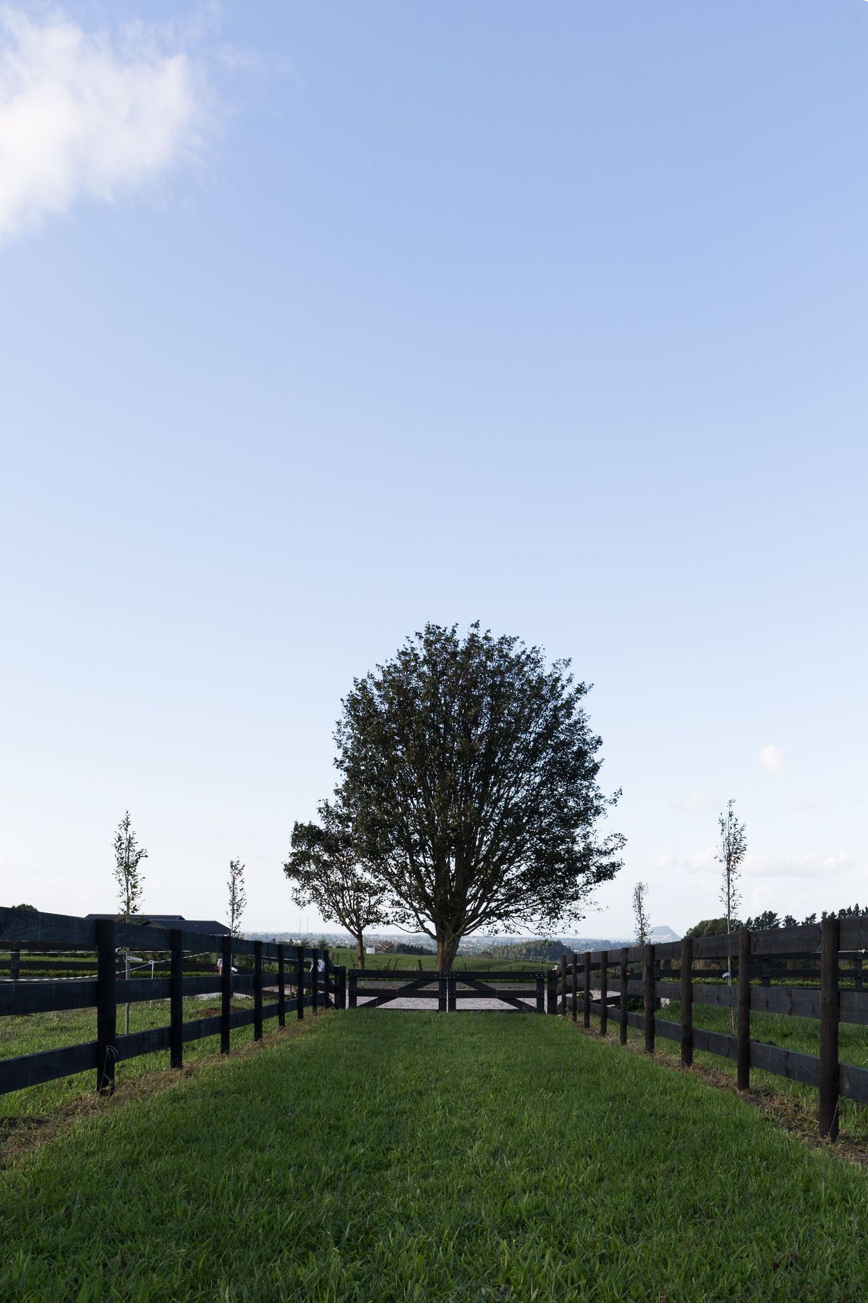 Dressage arena.