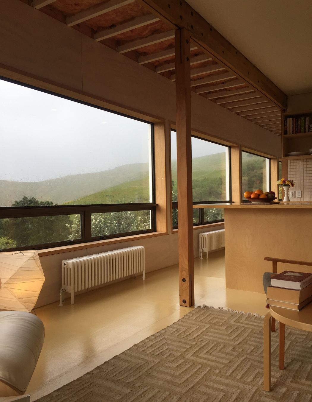 Interior view. Noguci lamp, Aalto table, Indian rug