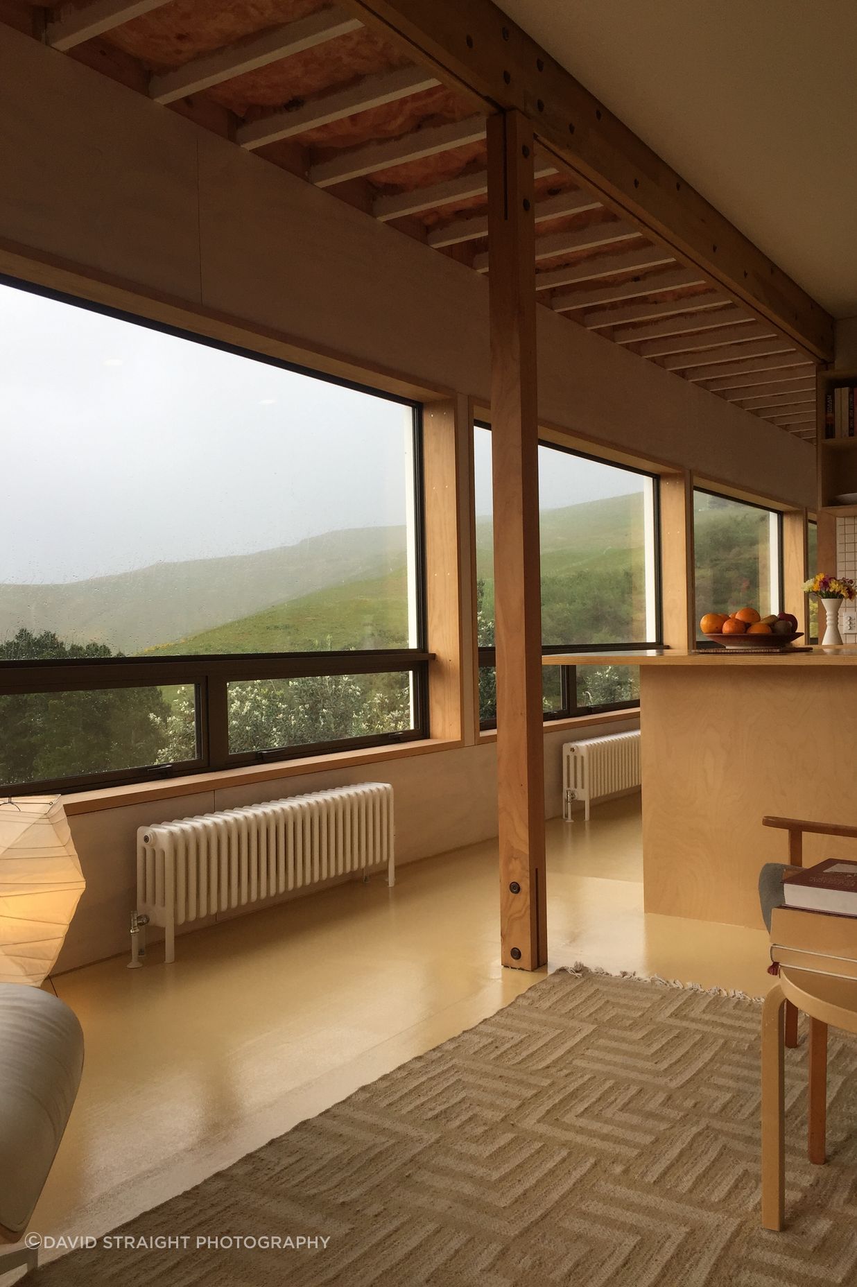 Interior view. Noguci lamp, Aalto table, Indian rug