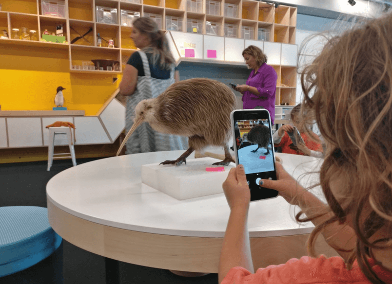 Te Papa Learning Hub