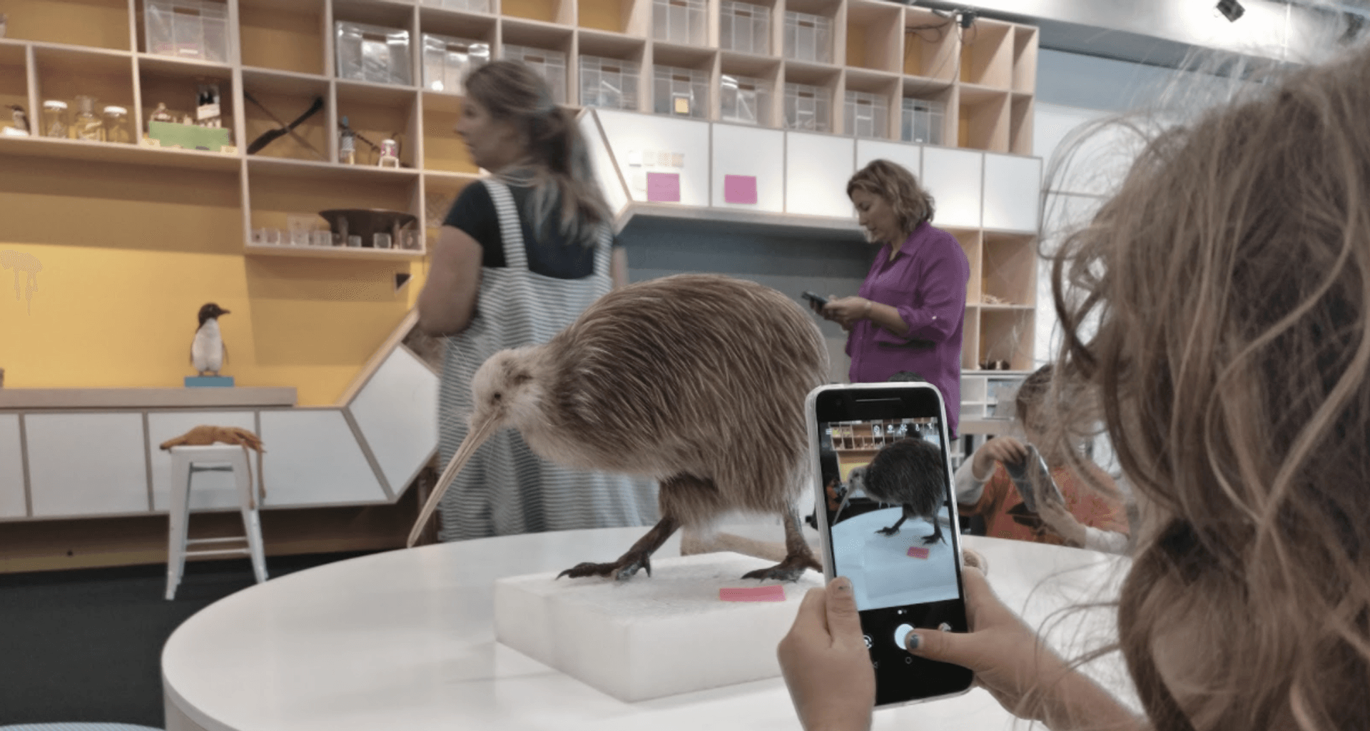 Te Papa Learning Hub banner