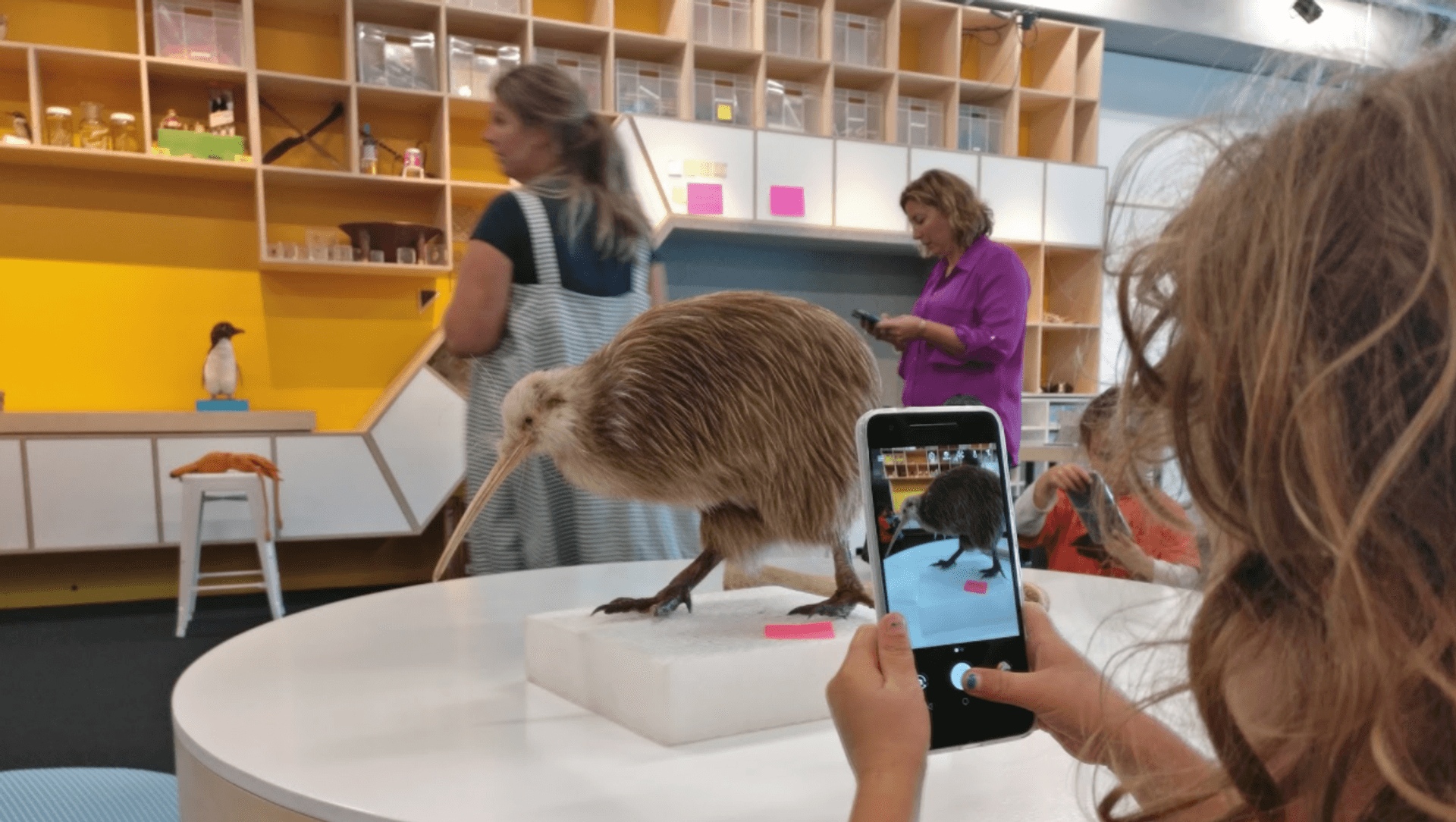Te Papa Learning Hub banner