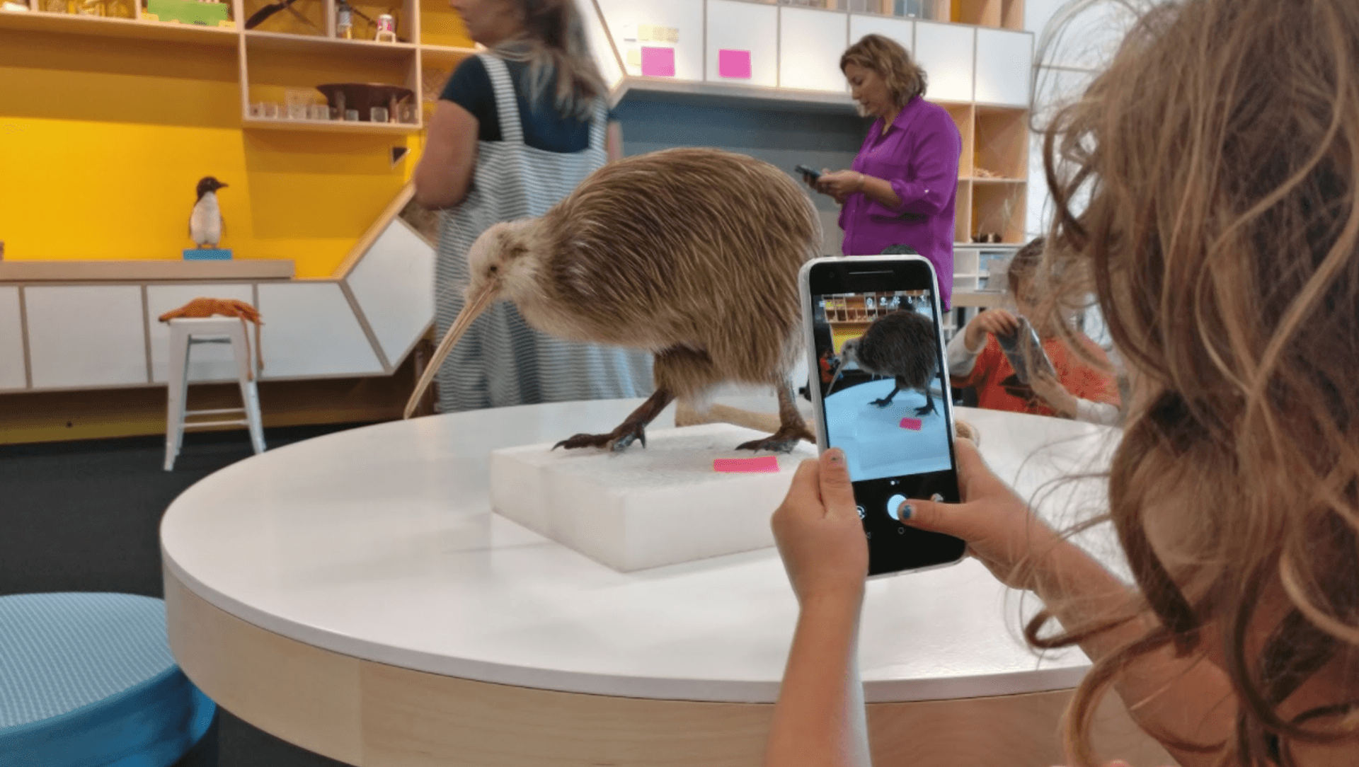 Te Papa Learning Hub banner
