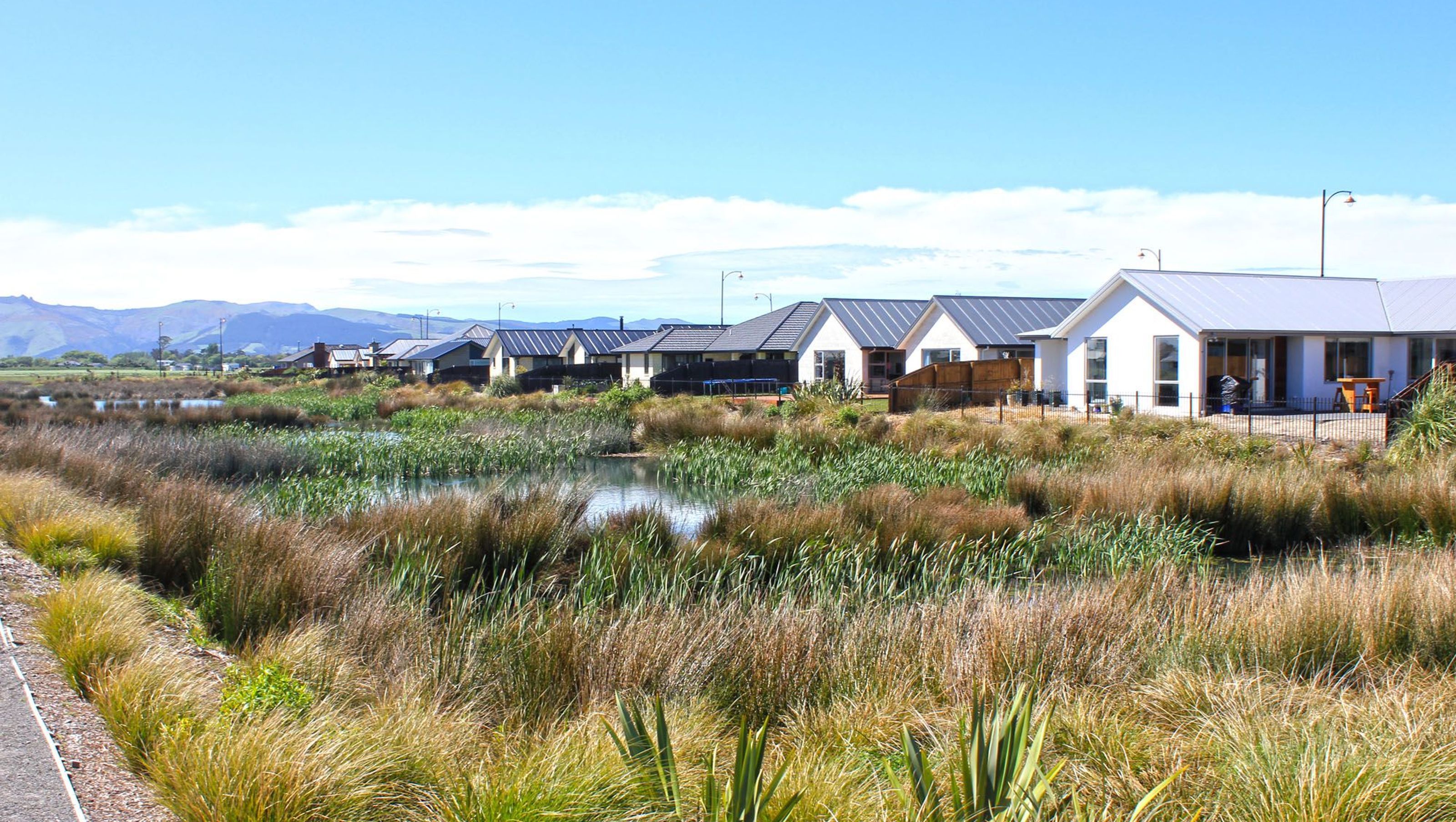 Te Whariki