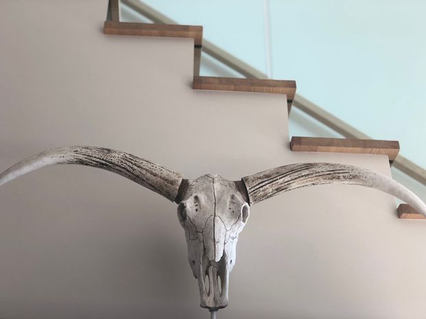 Close-up interior view of a large weathered longhorn cattle skull mounted on a pale wall beneath a staircase. The staircase has light-coloured walls, timber stair treads and a simple glass or open balustrade, creating a rustic decorative focal point.