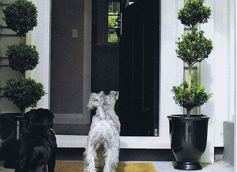 The Glen: stylish family garden with all the toys