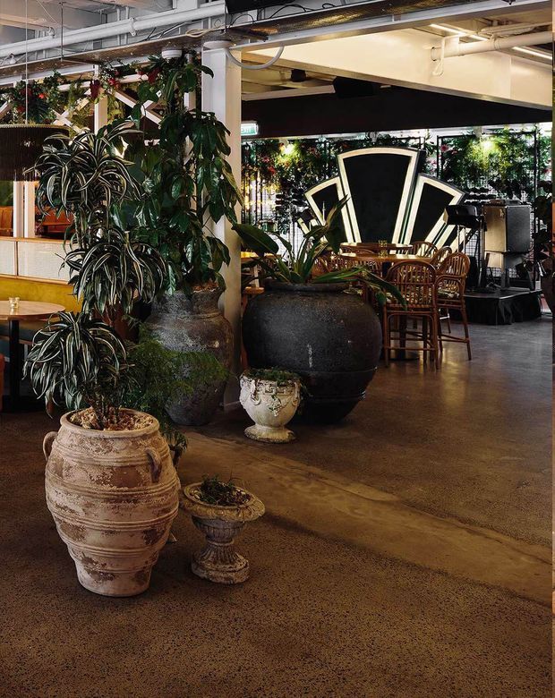 Interior view of a plant-filled hospitality or dining venue with an industrial exposed-services ceiling, polished concrete floor, large decorative planters, timber dining furniture, and a dramatic black-and-white geometric feature installation at the rear.