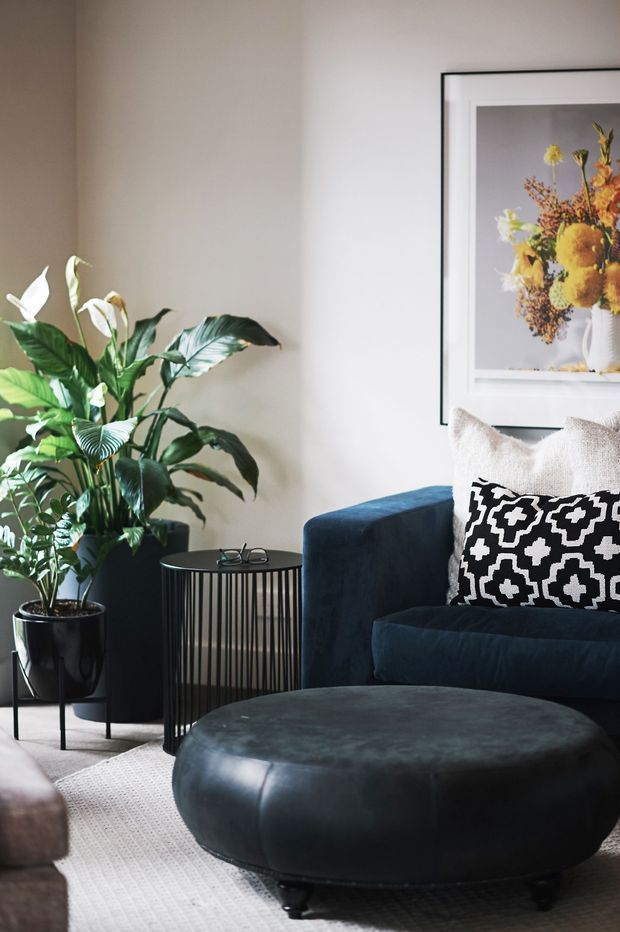 A styled living room corner featuring a deep navy upholstered armchair, a large black leather ottoman, patterned black-and-white cushions, a slender black metal side table, lush potted plants, and framed floral artwork on a light neutral wall. The space has a moody yet inviting, contemporary look with layered textures and strong contrast.