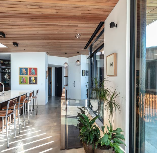 Bright open-plan residential interior showing a dining and kitchen area beside full-height glazing. The space features a warm timber-lined ceiling, pale walls, polished concrete flooring, a white island with bar seating, black-framed glass doors, pendant lights, and indoor plants. Strong sunlight creates linear shadows across the floor.