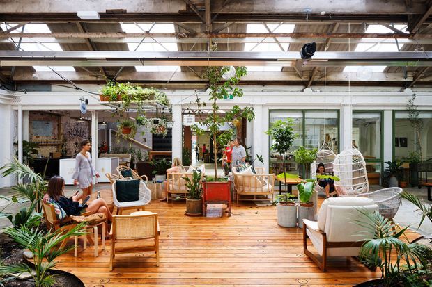 A bright, plant-filled indoor courtyard or atrium lounge with a wide timber deck, abundant hanging and potted greenery, casual wicker and timber seating, and glazed rooms around the perimeter. The space has an industrial warehouse character, with exposed steel roof structure, aged beams, clerestory glazing, and a large open, social layout.