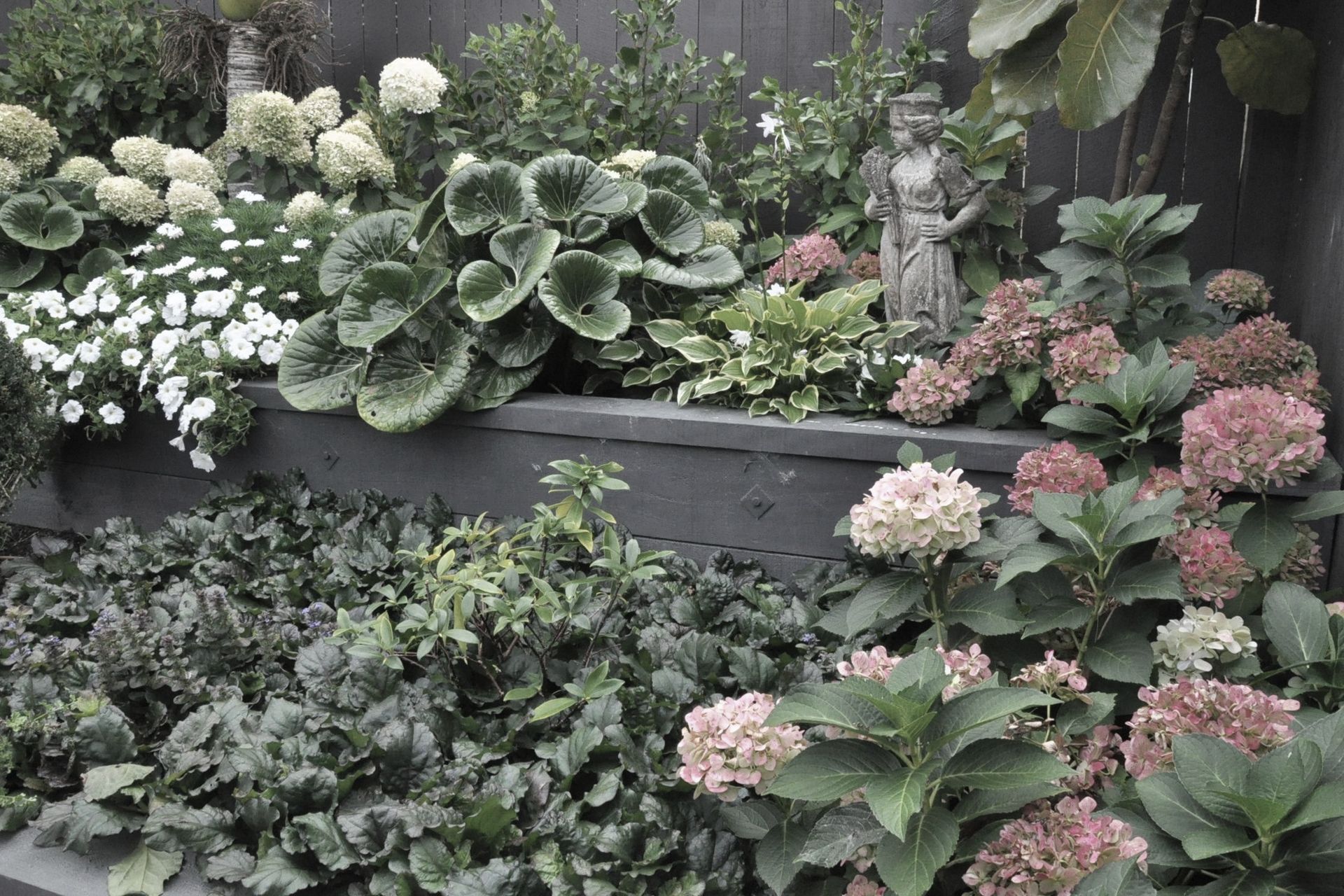 Stone statue stands amongst Hydrangea' bridal bouquet', Ligularia reniformis, Ajuga reptans and Hosta 'So sweet'