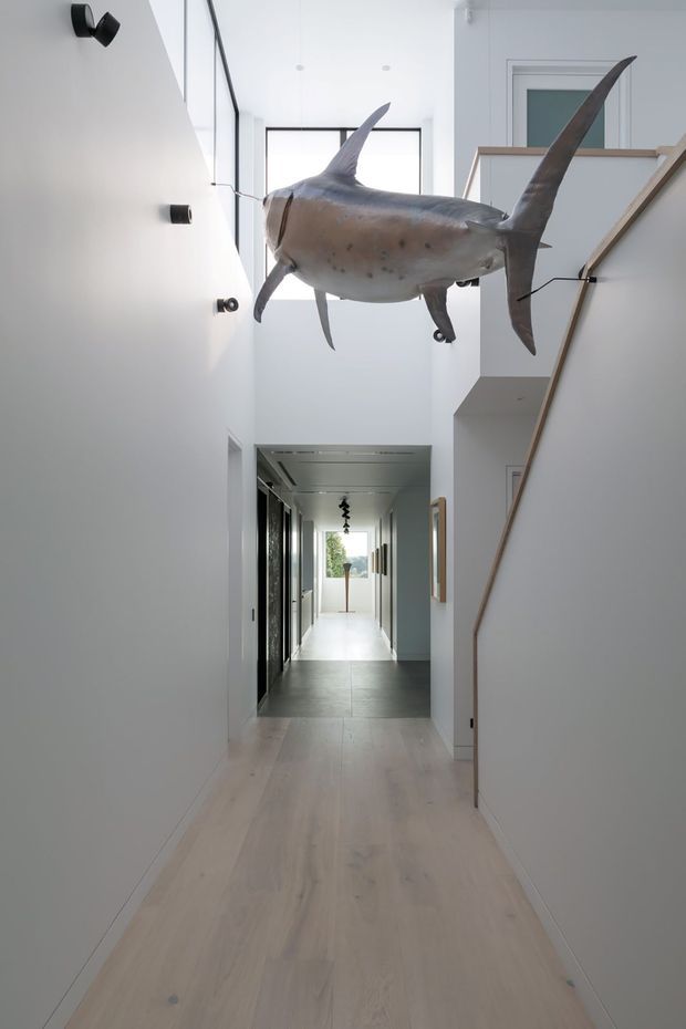 A bright, minimalist residential hallway with pale timber flooring, white walls, recessed and directional lighting, and a contemporary staircase with a slim timber handrail. A large suspended shark sculpture is the dominant decorative feature above the corridor. The hallway extends toward a glazed, light-filled area at the rear.
