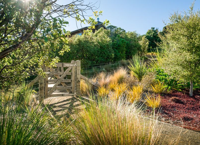 Ti Kouka Eco Lane