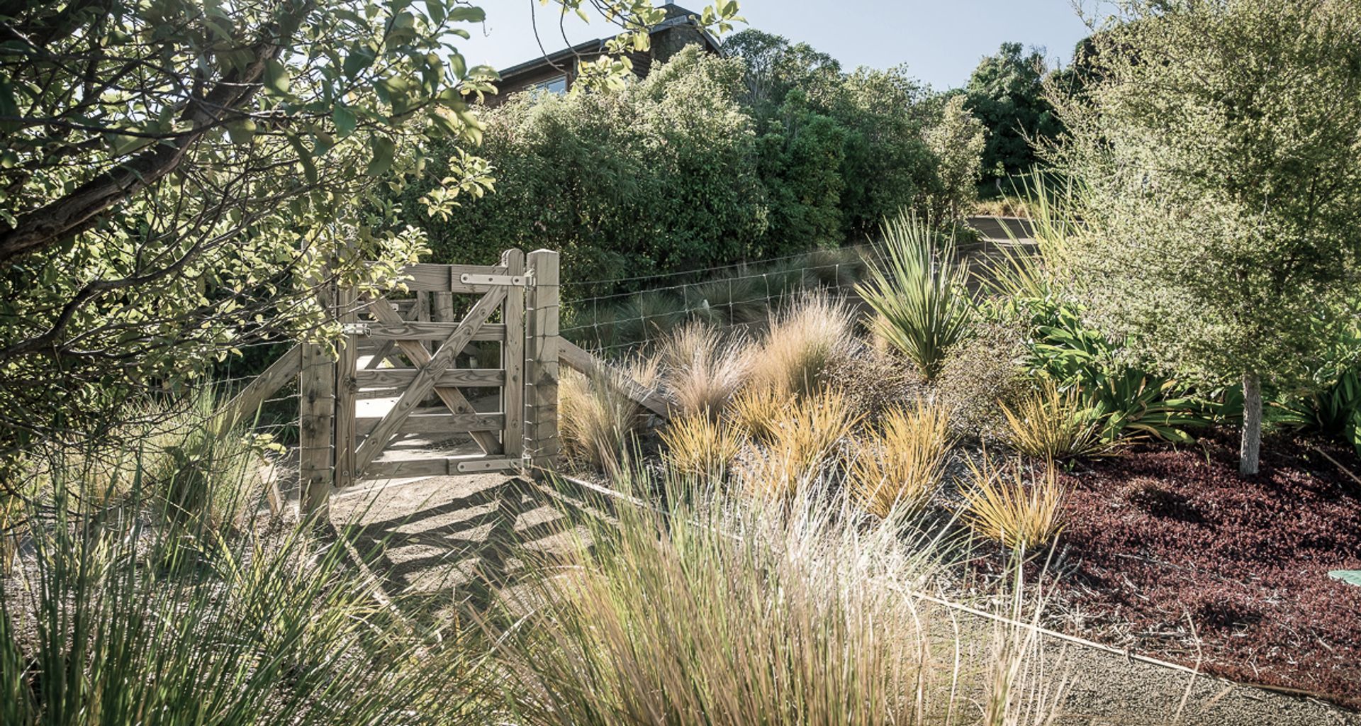 Ti Kouka Eco Lane banner