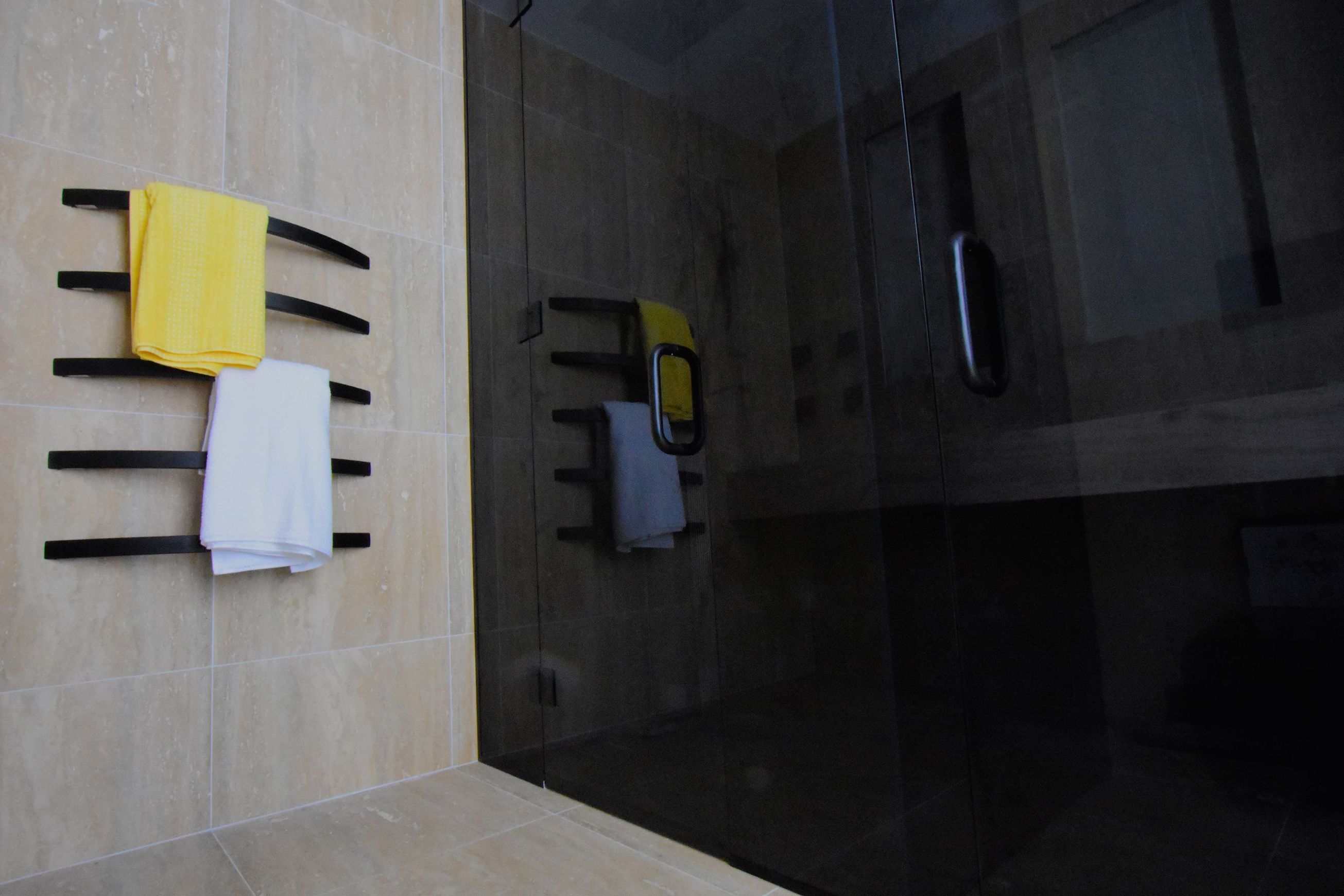 Tinted Shower Glass