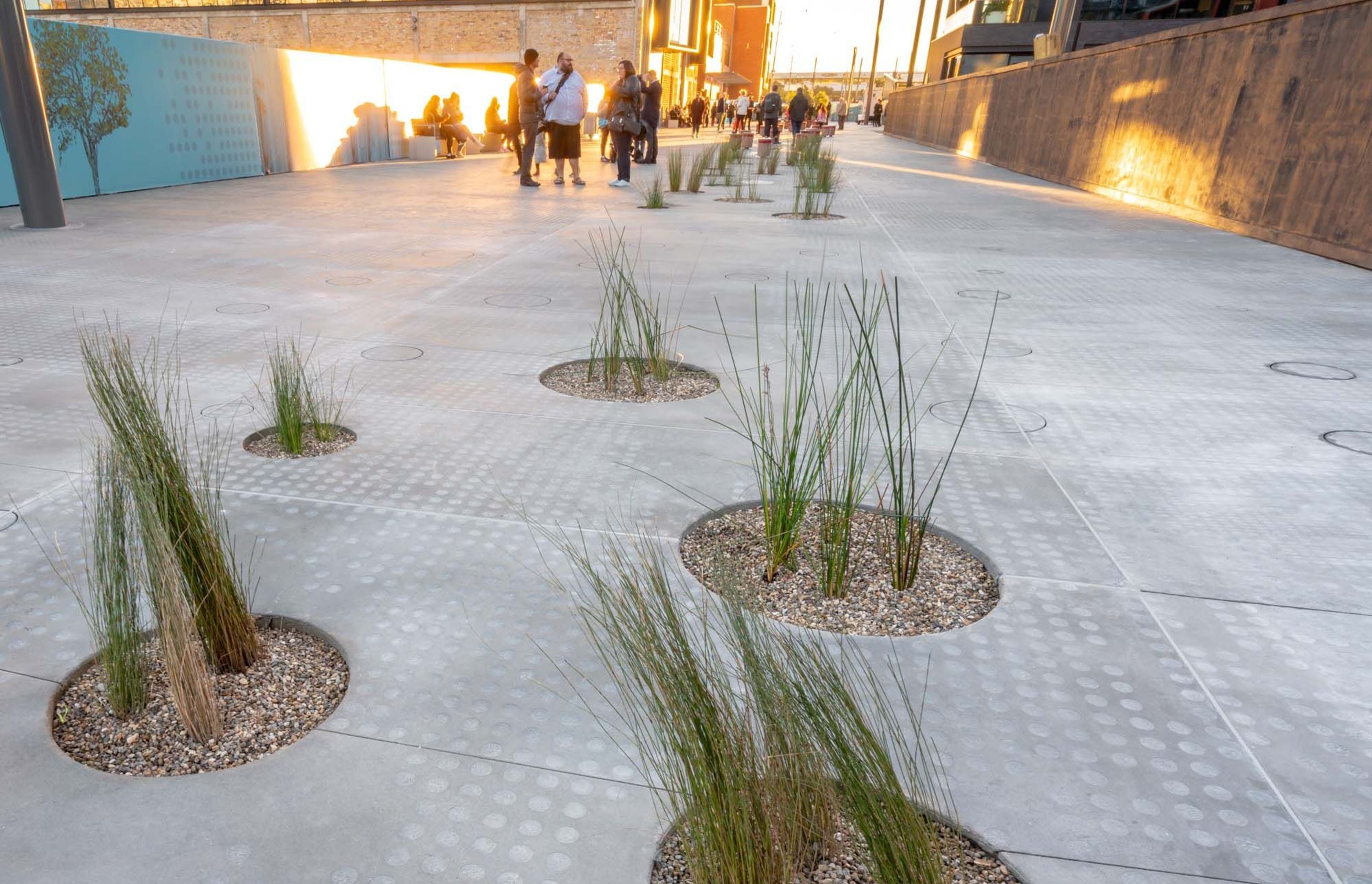 Jagas precast puddles and streetscape in Wynyard Quarter, Auckland