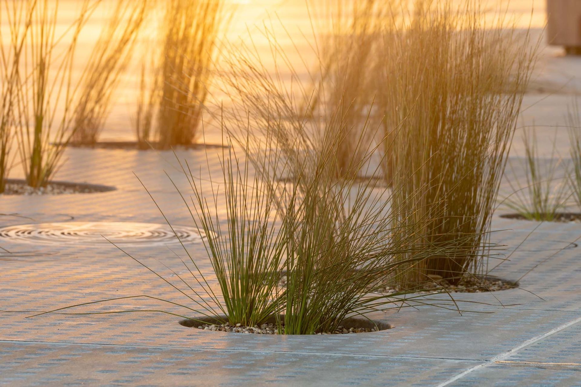Jagas precast puddles and streetscape in Wynyard Quarter, Auckland