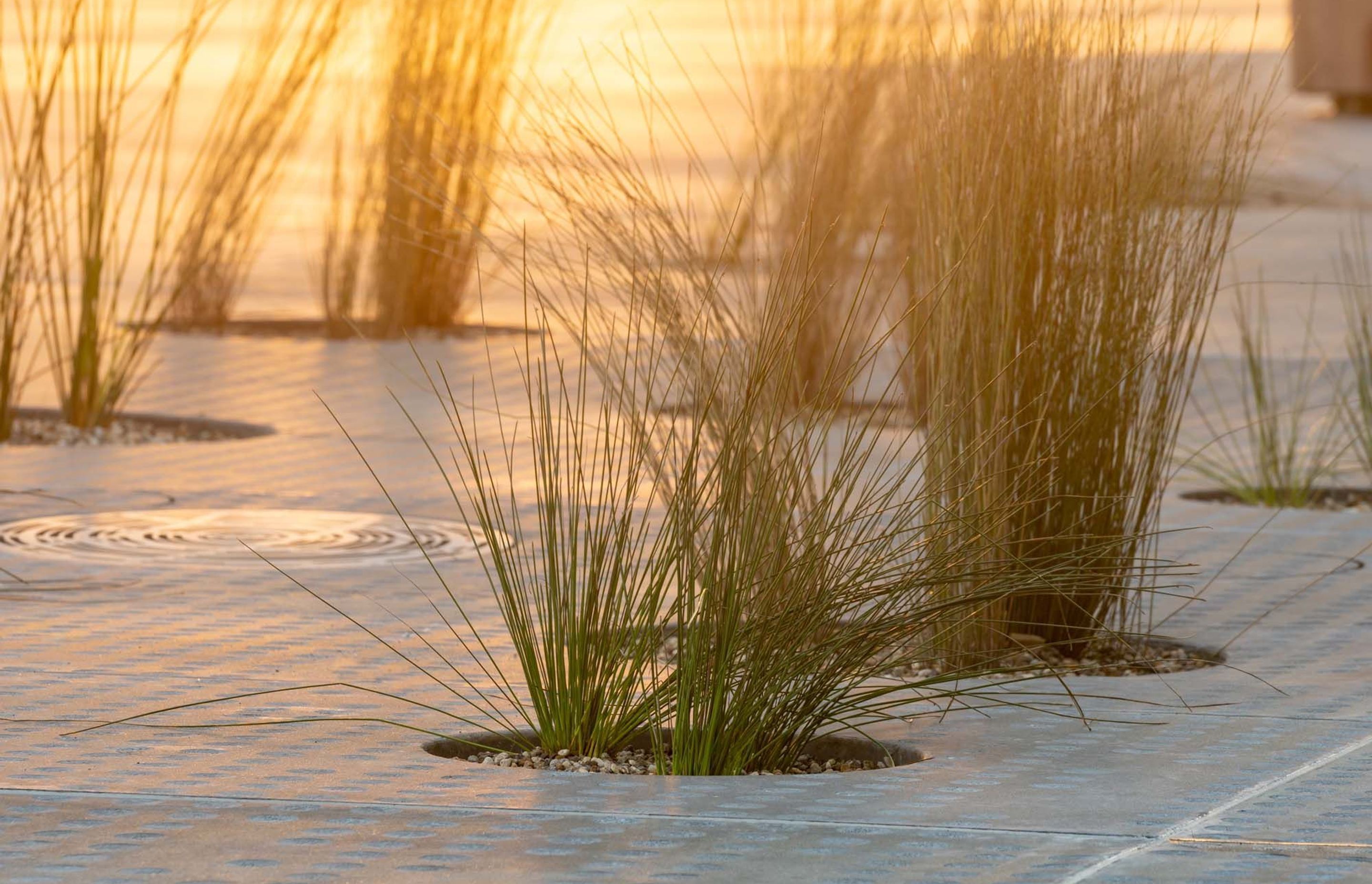 Jagas precast puddles and streetscape in Wynyard Quarter, Auckland