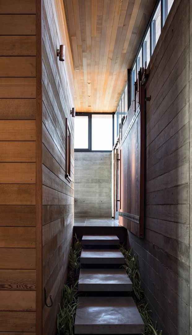 A narrow, dramatic interior passage with a short flight of dark concrete steps between timber-clad and exposed concrete walls. Warm horizontal timber boards continue across the ceiling, while tall black-framed glazing at the upper end brings in daylight. Small plants line the steps, and built-in timber doors or panels flank the corridor.