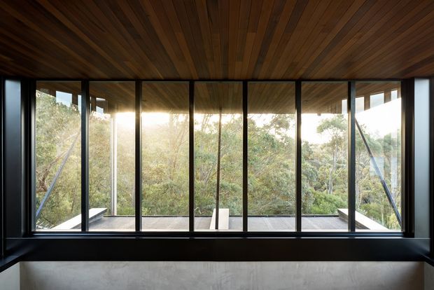 A minimalist architectural interior or viewing space framed by full-height black-framed glazing overlooking dense woodland. The ceiling is clad in warm dark timber boards, with matching dark structural framing and a pale smooth concrete or plaster lower wall. A narrow exterior deck and structural supports are visible beyond the windows. The composition emphasizes nature, strong vertical window mullions, and warm timber against dark metal.