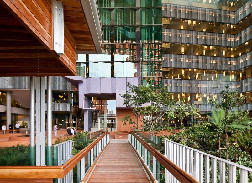 Translational Research Institute | Wilson Architects