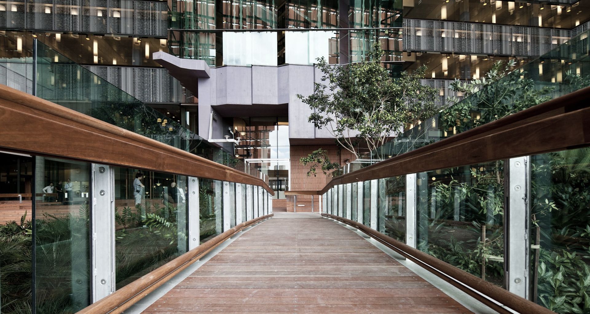 Translational Research Institute | Wilson Architects banner