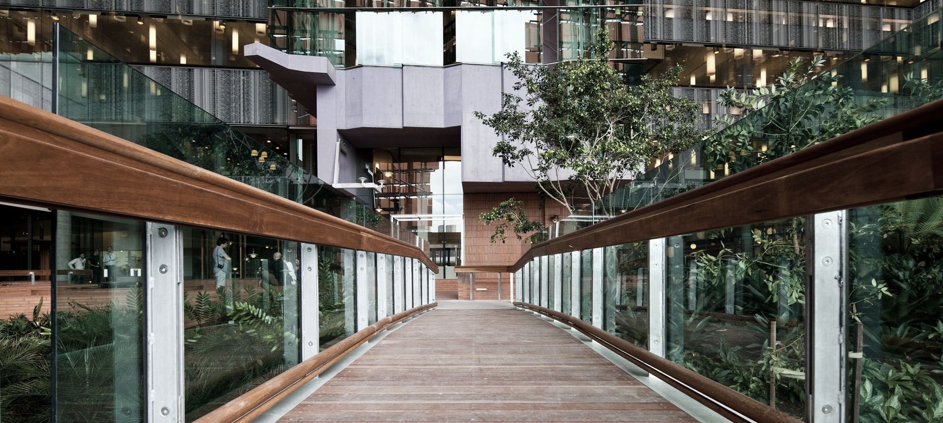 Translational Research Institute | Wilson Architects banner