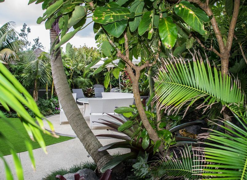 Tropical Delight, Mairangi Bay