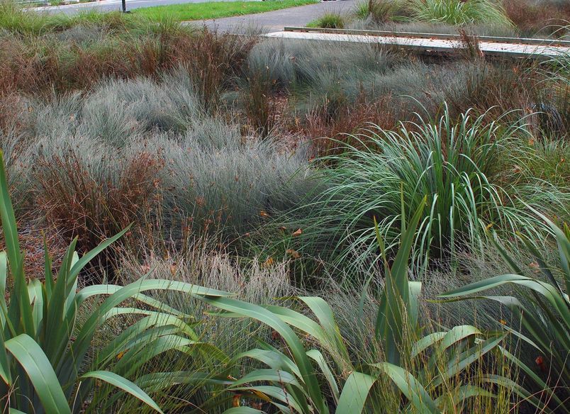 Tui Glen Reserve