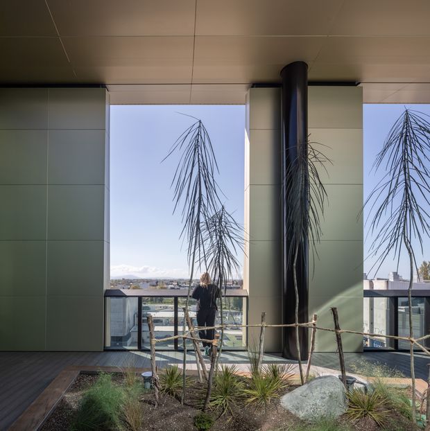 A contemporary covered terrace or rooftop garden with expansive openings between pale green wall panels, a dark cylindrical column, and full-height glazing overlooking a suburban landscape. The foreground contains a naturalistic planted garden bed with grasses, spiky plants, rocks, and rustic branch edging, while a person stands near the glazed balustrade. The space has a restrained modern architectural character with strong indoor-outdoor connection and abundant daylight.