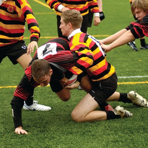 Turf for Rugby Field