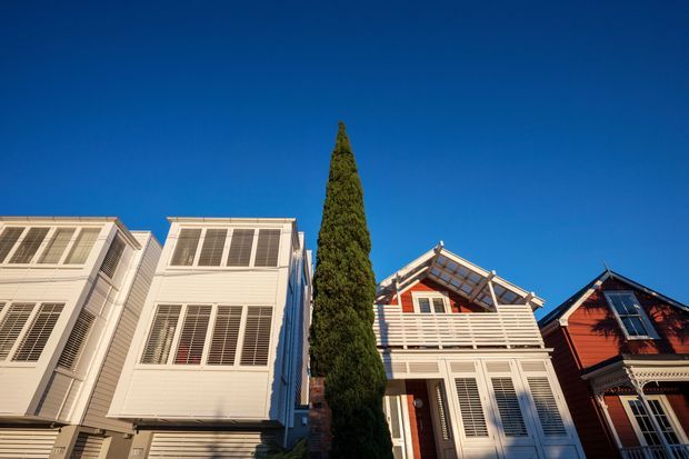 Upward-looking exterior view of a row of closely spaced multi-storey houses with strongly contrasting facades. The buildings feature white weatherboard cladding, extensive louvred and shuttered windows, projecting upper levels, balconies, and pitched gabled roofs. A red timber-clad house appears at right, while a tall narrow evergreen separates the homes against a clear blue sky.