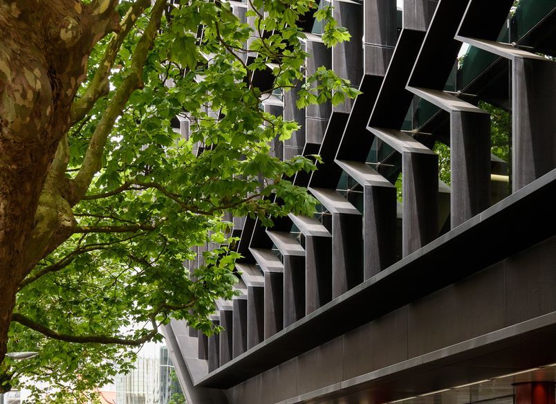 University of Auckland