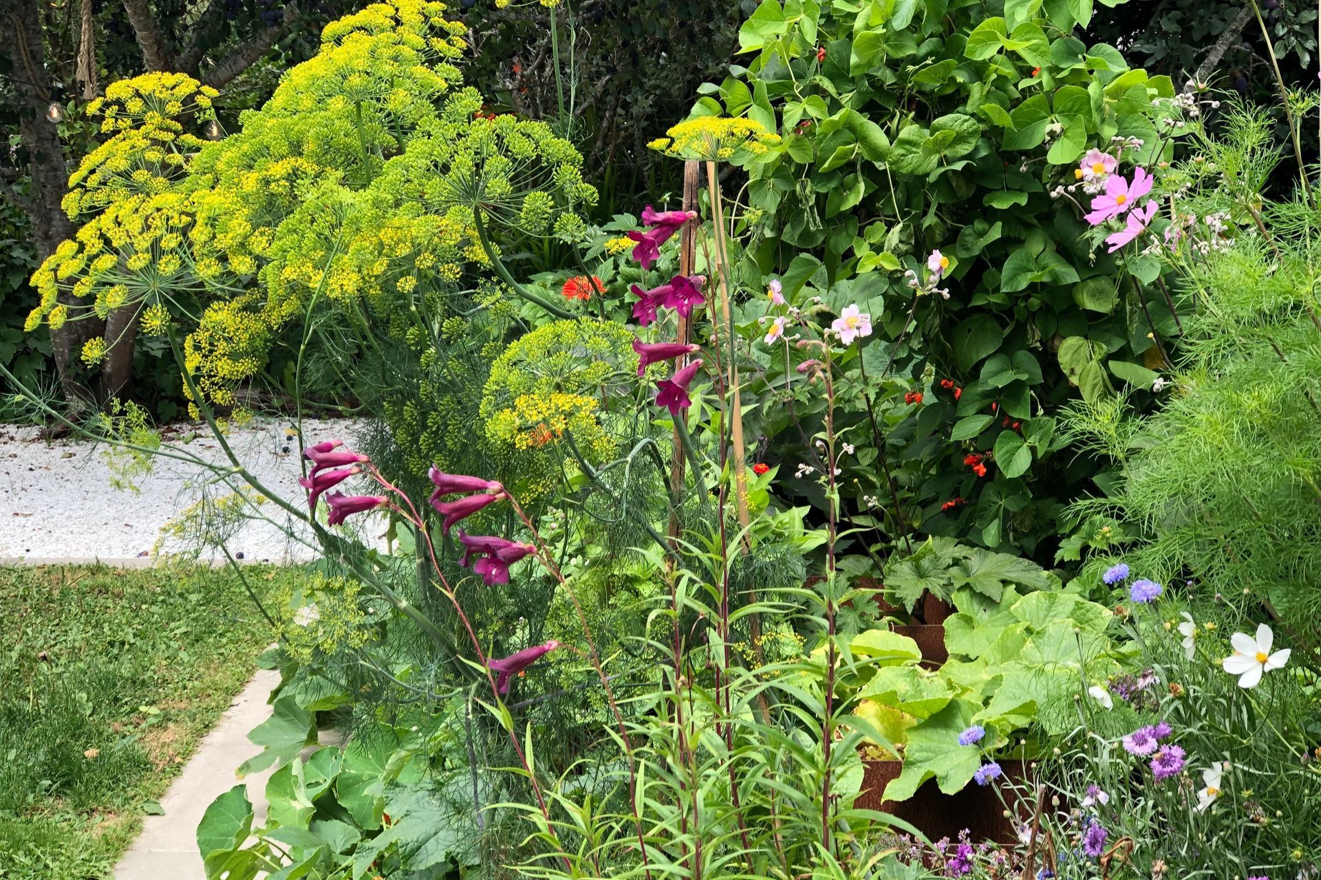 Mixed pollinators, herbs and vegetables