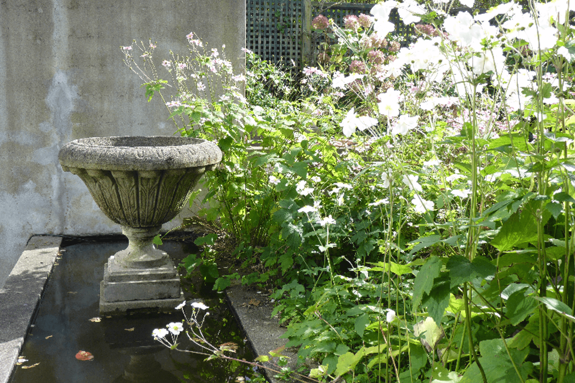 Existing classic concrete water feature