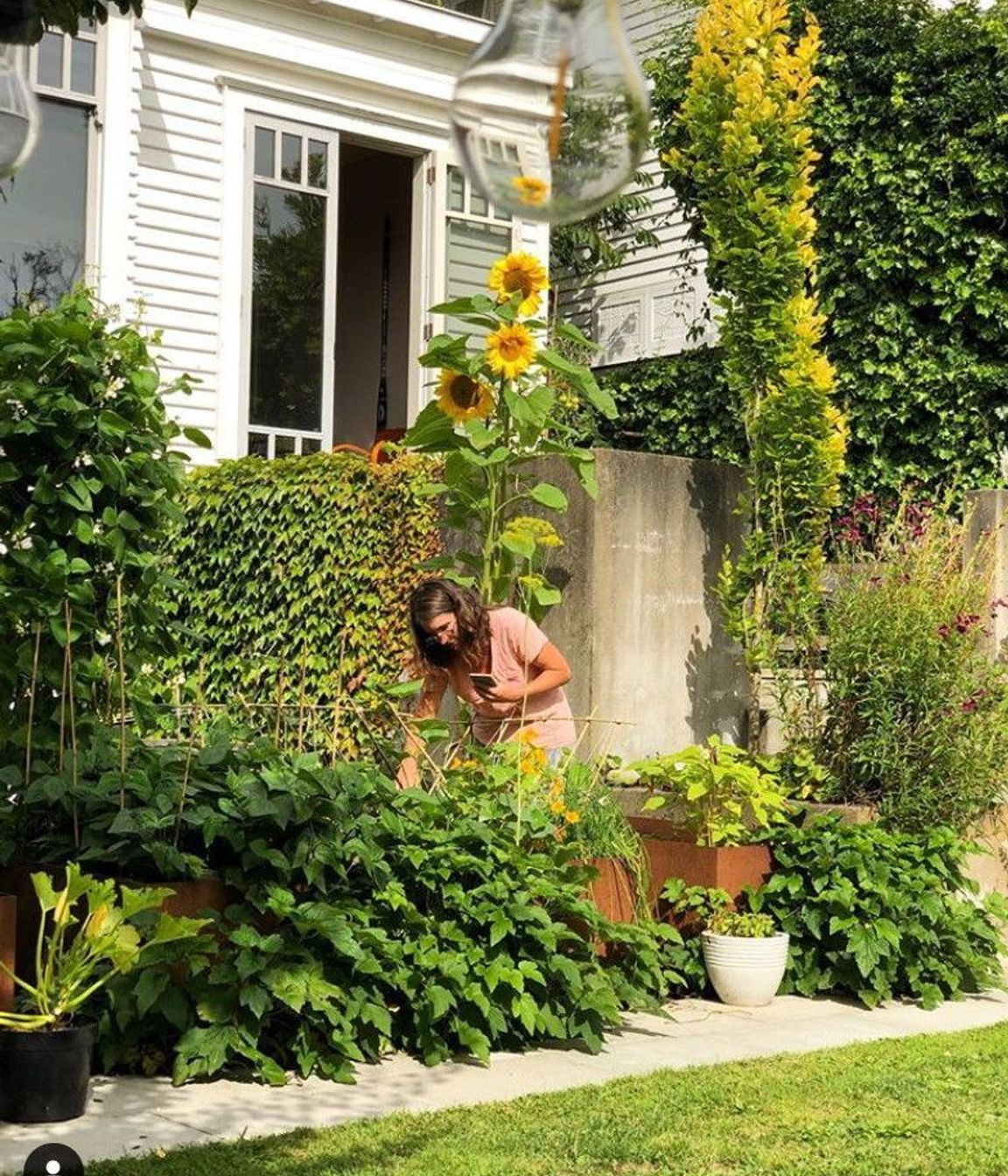 Hadley working in her raised vegetable gardens in new corten planters