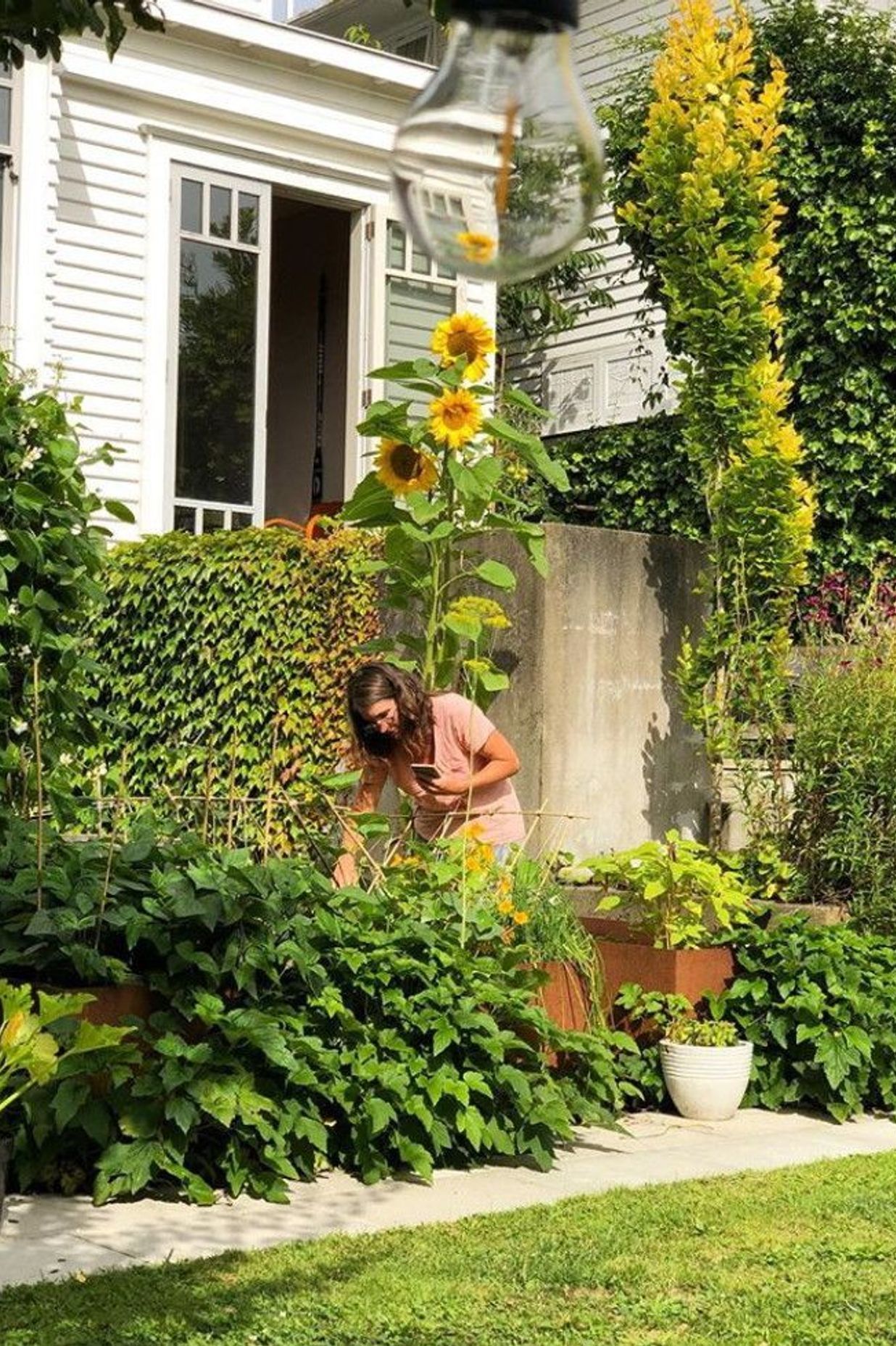 Hadley working in her raised vegetable gardens in new corten planters