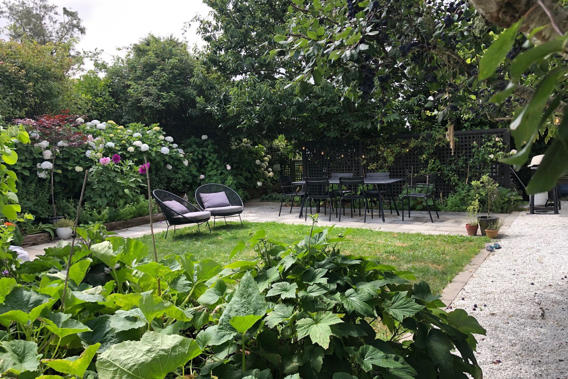 New lawn & dining area