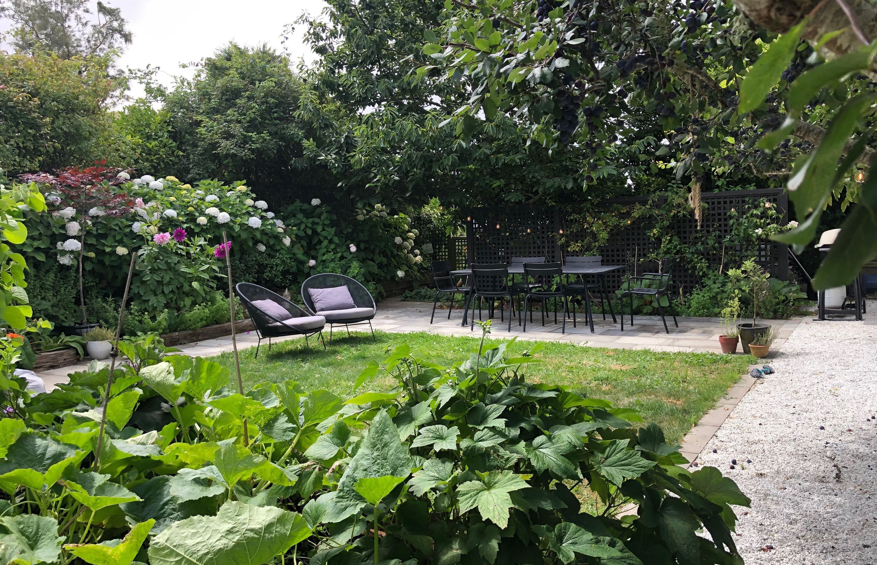 New lawn & dining area