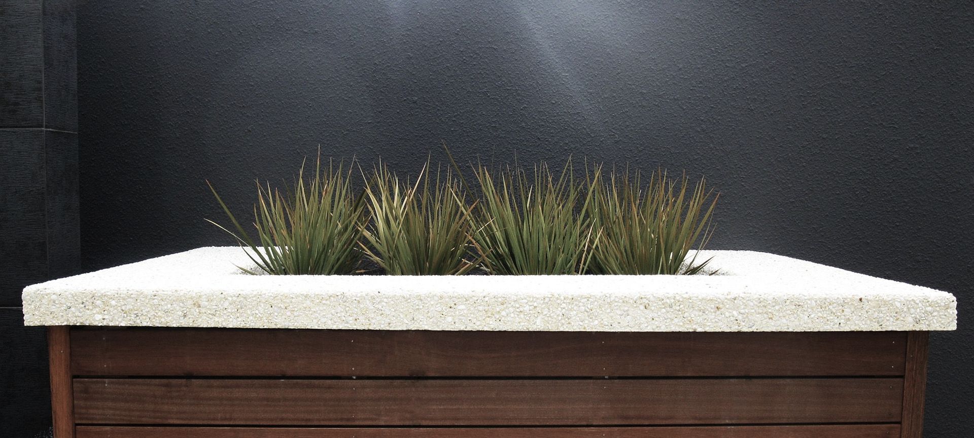 Urban Oasis banner
